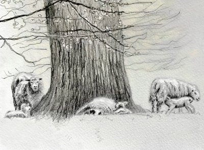 Schattiger Baum, 2022 von Helen White