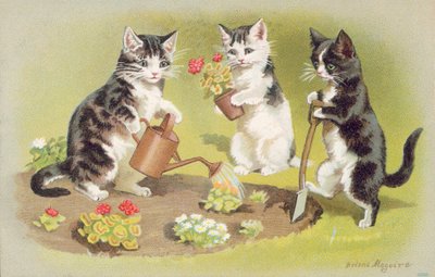 Katzenpostkarte von Helena J. Maguire