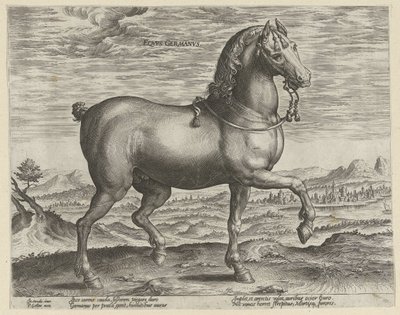 Hengst aus Deutschland von Hendrick Goltzius (possibly)