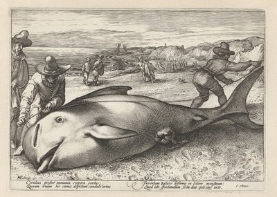 Zwei Männer messen einen gestrandeten Wal von Hendrick Goltzius (workshop of)
