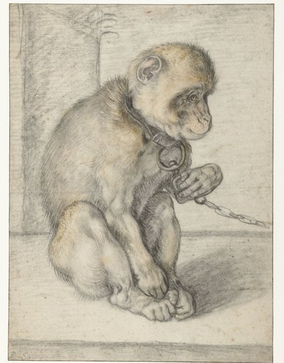Sitzender Affe an einer Kette von Hendrick Goltzius