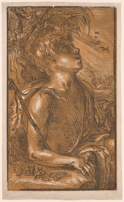 Johannes der Täufer von Hendrick Goltzius