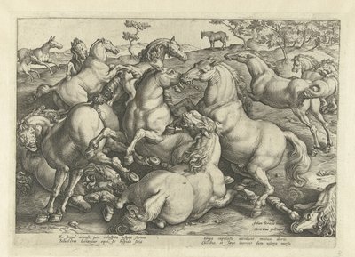 Zwölf kämpfende Pferde von Hendrick Goltzius