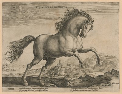 Wildes Pferd von Hendrick Goltzius