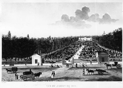 Ansicht des Königsgartens: der Jardin des Plantes in Paris - Gravur von Courvoisier von Henri Courvoisier Voisin