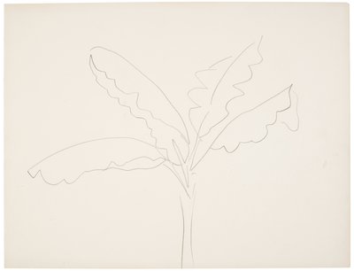 Bananenbaum (Tahiti) von Henri Matisse