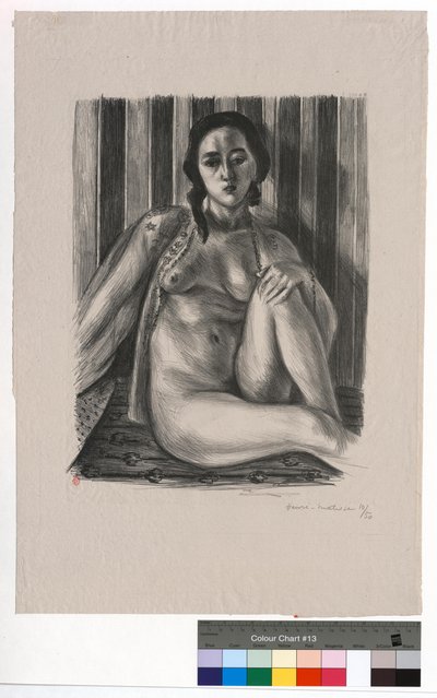 Sitzender Akt mit Tüllhemd von Henri Matisse