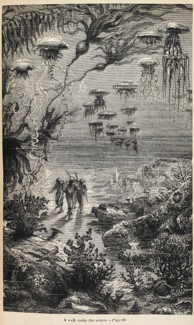 Illustration für 