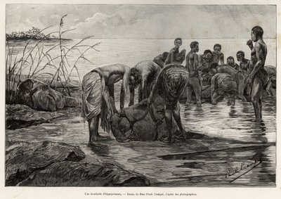 Ein Flusspferd-Schlachthaus am Ufer eines zentralafrikanischen Flusses. Gravur von Henri Thiriat zur Illustration der Geschichte „La mission Crampel“ von Albert Nebout (1862-1939), 1890, in Le tour du Monde 1892, herausgegeben von Edouard Charton (1807-189 von Henri Thiriat