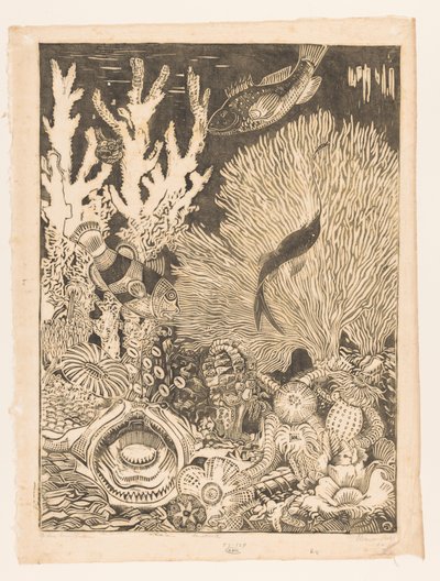 Auf dem Korallenboden von Henri van der Stok (signed by artist)