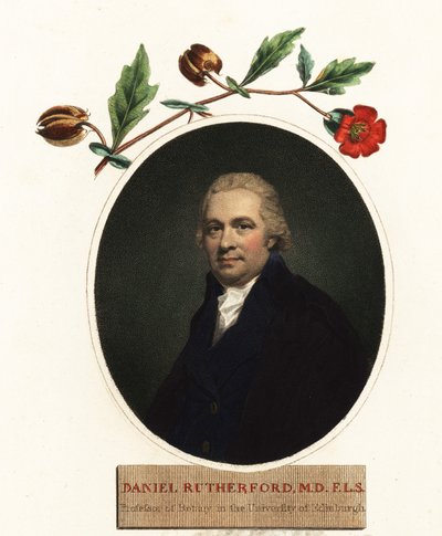 Porträt von Daniel Rutherford, Botaniker (Gravur) von Henry (after) Raeburn