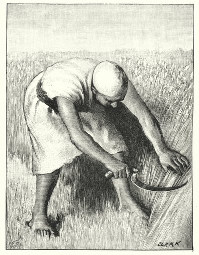 Ernte im Osten von Henry Andrew Harper