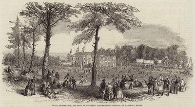 Friedens-, Mäßigkeits- und Universalbrüderlichkeitsfest in Hartwell, Bucks von Henry Anelay