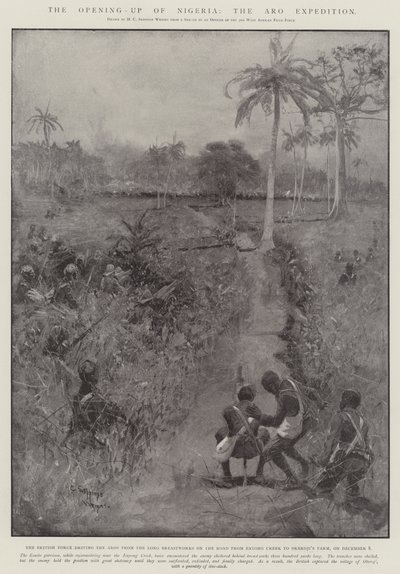 Die Erschließung Nigerias, die Aro-Expedition von Henry Charles Seppings Wright
