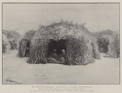 Die Somaliland-Expedition, das Krankenhaus in Las Durie, Isolierstationen von Henry Charles Seppings Wright