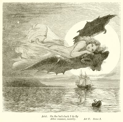 Der Sturm von Henry Courtney Selous