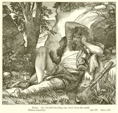 Timon von Athen von Henry Courtney Selous