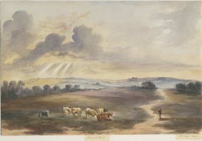 Cannock Chase - Heath: Aquarellmalerei von Henry James Noyes