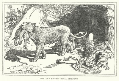 Wie die Löwin Malchus rettete von Henry Justice Ford
