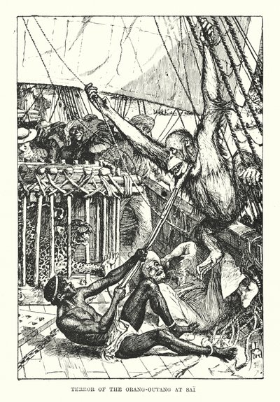 Schrecken des Orang-Utans in Sai von Henry Justice Ford