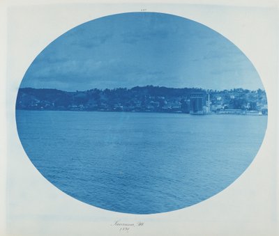 Savanna, Ill., 1891 von Henry Peter Bosse
