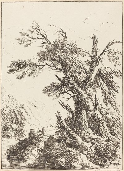 Landschaft mit alten Bäumen am Wasser von Henry Richard Greville, 3rd earl of Warwick
