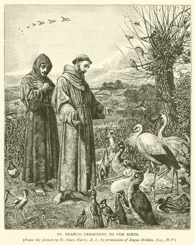 St. Franziskus predigt den Vögeln von Henry Stacey Marks