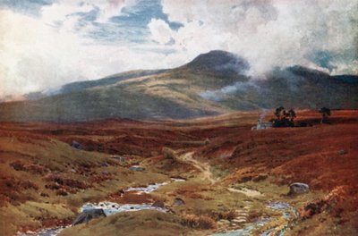 Ein Moor nahe Killin, Perthshire von Henry Sutton Palmer