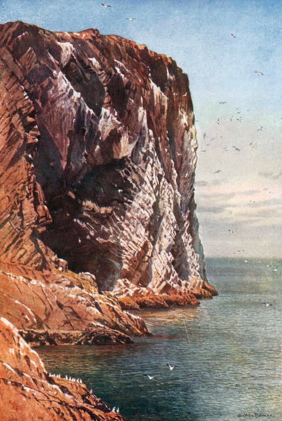 Der Bass Rock, Firth of Forth, vor der Küste von Haddingtonshire von Henry Sutton Palmer