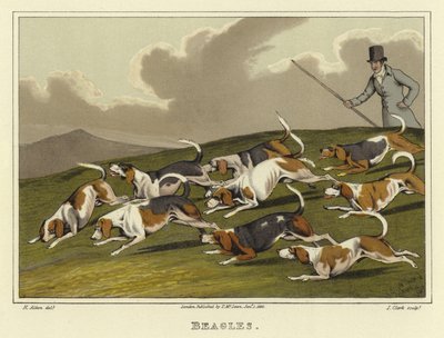 Beagles von Henry Thomas Alken