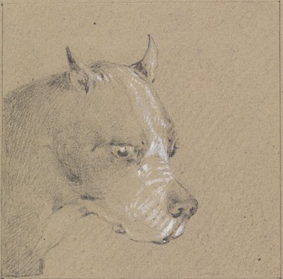 Kopf und Schultern eines Boxerhundes, Profil nach rechts von Henry Thomas Alken