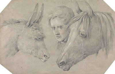 Kopf eines Stallburschen, der zwischen den Köpfen eines Pferdes zu seiner Linken und eines Esels zu seiner Rechten hindurchblickt von Henry Thomas Alken