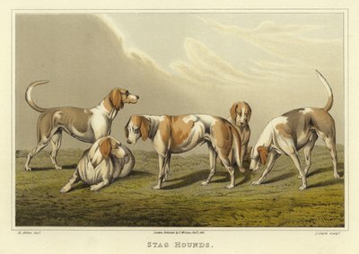 Hirschhunde (Chromolithographie) von Henry Thomas Alken