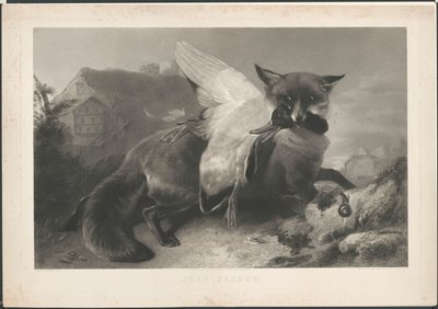 Gerade gefangen: ein Fuchs hat eine Ente geraubt. Nach R. Ausdell. Mit Adresse von Gambart von Henry Thomas Ryall