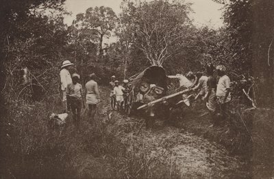 Ruinenstädte von Ceylon: Auf dem Weg nach Polonnaruwa von Henry W. Cave