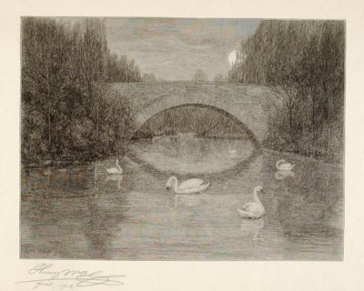 Abend, Schwanensee, Central Park, New York von Henry Wolf