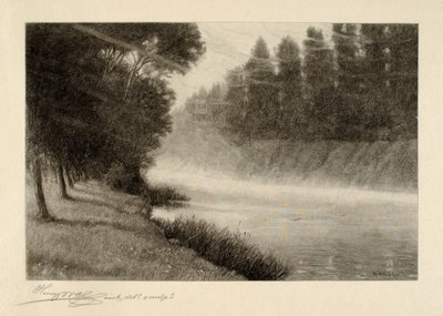 Morgennebel von Henry Wolf