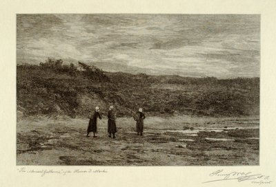 Muschelsammler von Henry Wolf