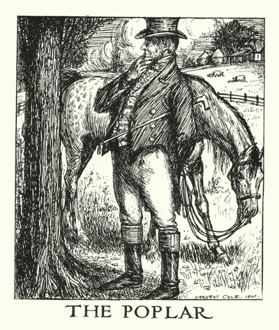 Ingoldsby Legenden: Die Pappel von Herbert Cole