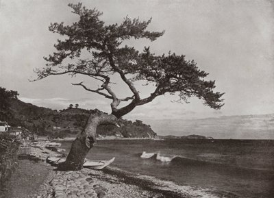 Atami von Herbert Ponting