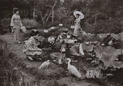 In einem Lotusgarten von Herbert Ponting