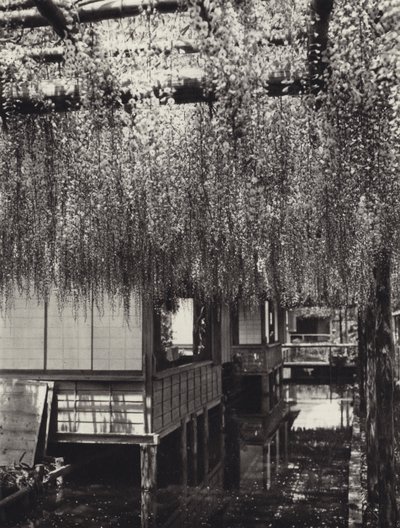 Japan in den 1920er Jahren: Tokio, Kameido von Herbert Ponting