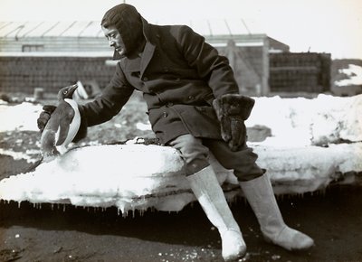 Mann mit einem Pinguin während der englischen Expedition in die Antarktis von Herbert Ponting