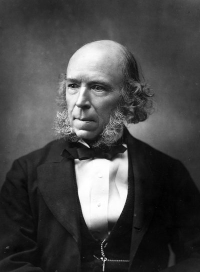 Herbert Spencer, 1888 von Herbert Rose Barraud