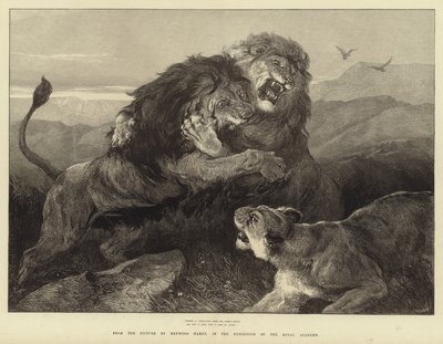 Heftig wie widersprüchliche Feuer brennt der Kampf von Heywood Hardy