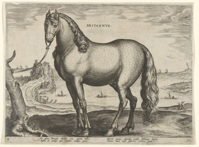 Pferd aus der Bretagne von Hieronymus Wierix
