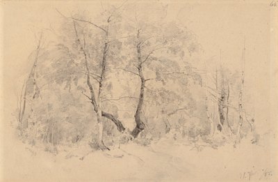 Birkenhain von Hjalmar Munsterhjelm