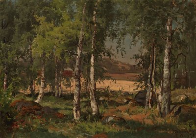 Landschaft mit Birkenhain und Roggenfeld von Hjalmar Munsterhjelm