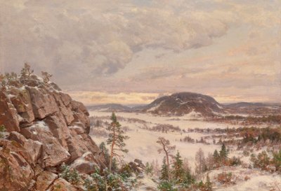 Wintermorgen von Hjalmar Munsterhjelm