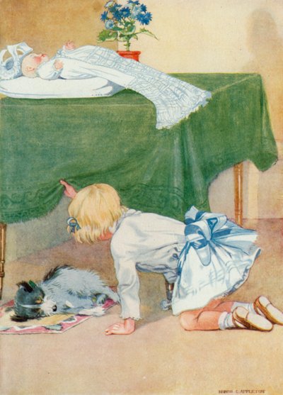 Illustration für Josephines Geburtstag von Honor Charlotte Appleton